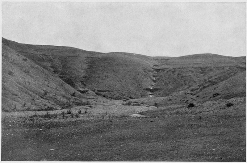 Верховья ручья Чардаклы. Фотография из книги «Обзор речных долин Крыма»