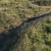 Траншеи и стела "Ворота в Крым" - Траншеи и стела "Ворота в Крым" на въезде в Крым со стороны Чонгарского моста dsc_7969